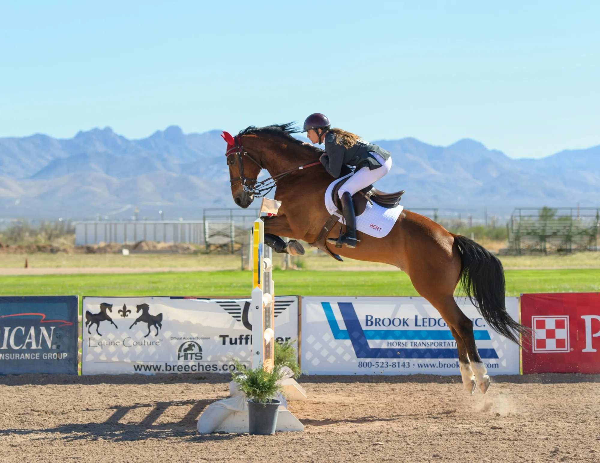 Horse riding over fence competition